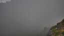 ./images/calvert/foggy-cove/20250730/foggy-cove20250730_072010M.jpg
