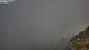 ./images/calvert/foggy-cove/20250730/foggy-cove20250730_072509M.jpg