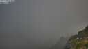 ./images/calvert/foggy-cove/20250730/foggy-cove20250730_073010M.jpg