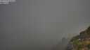 ./images/calvert/foggy-cove/20250730/foggy-cove20250730_073509M.jpg