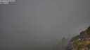 ./images/calvert/foggy-cove/20250730/foggy-cove20250730_074010M.jpg