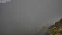 ./images/calvert/foggy-cove/20250730/foggy-cove20250730_074509M.jpg