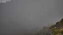 ./images/calvert/foggy-cove/20250730/foggy-cove20250730_075009M.jpg