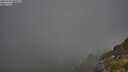 ./images/calvert/foggy-cove/20250730/foggy-cove20250730_080509M.jpg