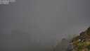 ./images/calvert/foggy-cove/20250730/foggy-cove20250730_081010M.jpg