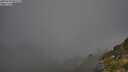 ./images/calvert/foggy-cove/20250730/foggy-cove20250730_081509M.jpg