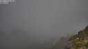 ./images/calvert/foggy-cove/20250730/foggy-cove20250730_082009M.jpg