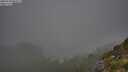 ./images/calvert/foggy-cove/20250730/foggy-cove20250730_082507M.jpg
