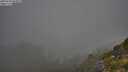 ./images/calvert/foggy-cove/20250730/foggy-cove20250730_083011M.jpg