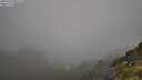 ./images/calvert/foggy-cove/20250730/foggy-cove20250730_084008M.jpg