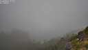 ./images/calvert/foggy-cove/20250730/foggy-cove20250730_084509M.jpg