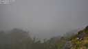 ./images/calvert/foggy-cove/20250730/foggy-cove20250730_085011M.jpg