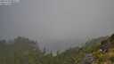 ./images/calvert/foggy-cove/20250730/foggy-cove20250730_085507M.jpg