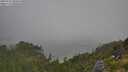 ./images/calvert/foggy-cove/20250730/foggy-cove20250730_090010M.jpg