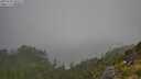./images/calvert/foggy-cove/20250730/foggy-cove20250730_090510M.jpg