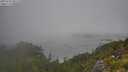 ./images/calvert/foggy-cove/20250730/foggy-cove20250730_091510M.jpg