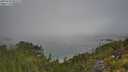 ./images/calvert/foggy-cove/20250730/foggy-cove20250730_092510M.jpg