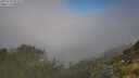 ./images/calvert/foggy-cove/20250730/foggy-cove20250730_093510M.jpg