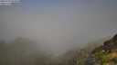 ./images/calvert/foggy-cove/20250730/foggy-cove20250730_094010M.jpg