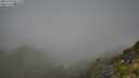 ./images/calvert/foggy-cove/20250730/foggy-cove20250730_094510M.jpg