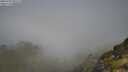 ./images/calvert/foggy-cove/20250730/foggy-cove20250730_095509M.jpg