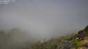 ./images/calvert/foggy-cove/20250730/foggy-cove20250730_100012M.jpg