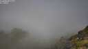 ./images/calvert/foggy-cove/20250730/foggy-cove20250730_100508M.jpg