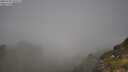 ./images/calvert/foggy-cove/20250730/foggy-cove20250730_101009M.jpg