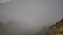 ./images/calvert/foggy-cove/20250730/foggy-cove20250730_101511M.jpg