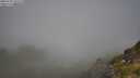 ./images/calvert/foggy-cove/20250730/foggy-cove20250730_102008M.jpg