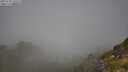 ./images/calvert/foggy-cove/20250730/foggy-cove20250730_102509M.jpg