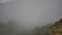 ./images/calvert/foggy-cove/20250730/foggy-cove20250730_103012M.jpg