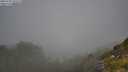 ./images/calvert/foggy-cove/20250730/foggy-cove20250730_103509M.jpg