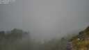 ./images/calvert/foggy-cove/20250730/foggy-cove20250730_104009M.jpg