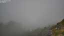 ./images/calvert/foggy-cove/20250730/foggy-cove20250730_104509M.jpg