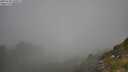 ./images/calvert/foggy-cove/20250730/foggy-cove20250730_105011M.jpg