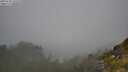 ./images/calvert/foggy-cove/20250730/foggy-cove20250730_105510M.jpg