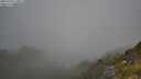 ./images/calvert/foggy-cove/20250730/foggy-cove20250730_110012M.jpg