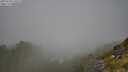 ./images/calvert/foggy-cove/20250730/foggy-cove20250730_110509M.jpg