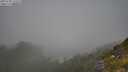 ./images/calvert/foggy-cove/20250730/foggy-cove20250730_111009M.jpg