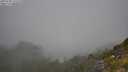 ./images/calvert/foggy-cove/20250730/foggy-cove20250730_111510M.jpg