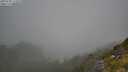 ./images/calvert/foggy-cove/20250730/foggy-cove20250730_112011M.jpg