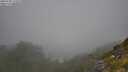 ./images/calvert/foggy-cove/20250730/foggy-cove20250730_112510M.jpg