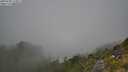 ./images/calvert/foggy-cove/20250730/foggy-cove20250730_113011M.jpg