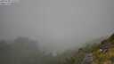 ./images/calvert/foggy-cove/20250730/foggy-cove20250730_113509M.jpg