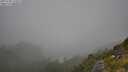 ./images/calvert/foggy-cove/20250730/foggy-cove20250730_114009M.jpg