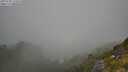 ./images/calvert/foggy-cove/20250730/foggy-cove20250730_114510M.jpg