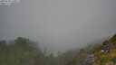 ./images/calvert/foggy-cove/20250730/foggy-cove20250730_120011M.jpg