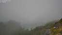 ./images/calvert/foggy-cove/20250730/foggy-cove20250730_120509M.jpg