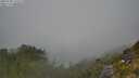 ./images/calvert/foggy-cove/20250730/foggy-cove20250730_121511M.jpg